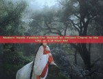 Flawed Clearance:The Revival of Hanfu Fashion