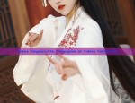 Beautiful Scholars Attire:Exploring the Allure of Traditional Hanfu Fashion in Modern Context