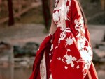 The Year of the Dragon and the Splendor of Hanfu Robes with Hoods