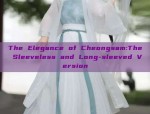 The Evolution of Hanfu Fashion:Post-Childhood Tradition and Modernity