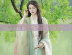 Ancient Charm of Hanfu Long-Sleeve Gowns:A Journey into Traditional Chinese Elegance
