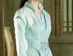 Splendor of Spring in Traditional Hanfu Fashion