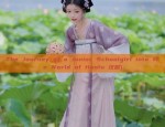 Adult Womens Summer Hanfu Fashion:A Glimpse into Traditional Elegance