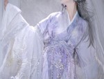The Elegance of the Horseface Skirt in a Set:A Closer Look into Traditional Chinese Clothing