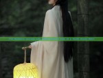 The Students Journey with Hanfu Dress:A Tale of a Hanfu Dress Skirt