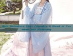 The Revival of Hanfu Fashion in the Late Ming Dynasty:The Charm of Ming-Style Clothing