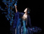 The Splendid Charm of Placket-Closed Cheongsam:A Closer Look at its History and Design