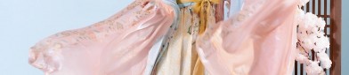 The Evolution of Hanfu:The Rise of the Main Waistband and its Swaying Charm