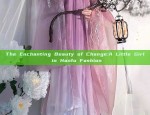 The Enchanting Beauty of Change:A Little Girl in Hanfu Fashion