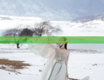 Redesigning the Cheongsam for a Slimming Effect:A Modern Approach to Traditional Elegance