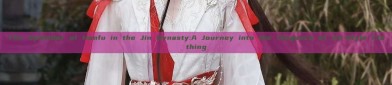 The Splendor of Hanfu in the Jin Dynasty:A Journey into the Elegance of Jin-Style Clothing