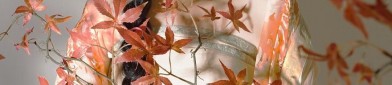Extended Winter Cheongsam:A Blend of Tradition and Modern Elegance