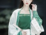 The Fabric of Tang-Style Hanfu:A Journey into the Textures of Traditional Chinese Clothing