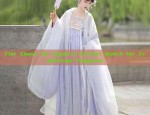 Starry Sky Twelve-Break Skirt:The Evolution of Traditional Hanfu Fashion