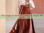 The Enigma of Hanfu:The Allure of Mingye 冥夜)Hanfu