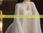 The Splendor of Hanfu with a Cape:Unveiling the Traditional Elegance of Chinese Costume
