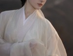 Embracing the New Sino-Style:The Rise of Embroidered Cheongsam Skirts with Horseface Patterns