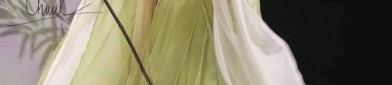 Enhanced Comfort and Style for Short Figures in Hanfu Fashion for Autumn Winter