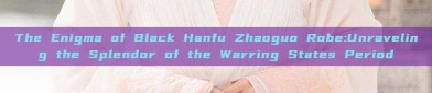 The Enigma of Black Hanfu Zhaoguo Robe:Unraveling the Splendor of the Warring States Period