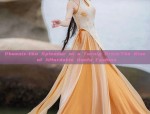 Baby Summer Hanfu Skirts A Guide to Styling Your Little One in Traditional Elegance