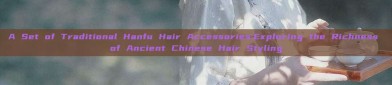 A Set of Traditional Hanfu Hair Accessories:Exploring the Richness of Ancient Chinese Hair Styling