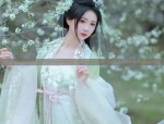 The Rise of Hanfu Style Wigs:Embracing Traditional Beauty with Modern假发造型