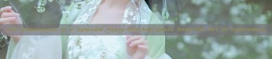 The Noblewoman in a Splendid Heavy-Stitched Hanfu Robe:The Art of Embroidery