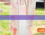 A Complete Set of Hanfu Hair Accessories for Girls