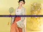 The Splendid Splendor of Hanfu:The Mosaic of Wanhua Hanfu