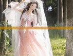 Traditional Chinese Costume Shoes for Women:The Splendor of Hanfu Shoes