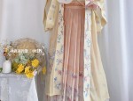 Zhou Xuns Journey into Traditional Chinese Hanfu Fashion