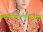 Plus Size Hacksyi Tunic:A Journey into the World of Oversized Traditional Chinese Clothing