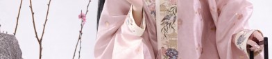 Large Size Hanfu Collared Tops:A Guide to Traditional Elegance