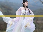 Splendor of Traditional Chinese Fashion:Authentic Red Qixiong Hanfu Clothing