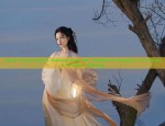 The Elegance of Hanfu Earring Fringes with Flowing Tassels