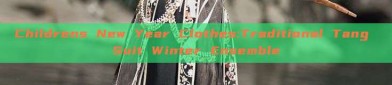 Childrens New Year Clothes:Traditional Tang Suit Winter Ensemble