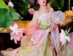 The Splendor of Ming-Style Hanfu:The Chepi as a Symbol of Cultural Heritage
