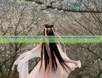 The Elegance of Silk Qipao:A Sixty-Year Journey with Real Mulberry Silk