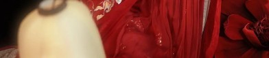 Complete Winter Hanfu Fashion:A Journey into Traditional Chinese Attire