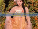 The Splendor of Tapestry Cheongsam:A Traditional Chinese Elegance