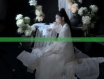 Three Lanes of Hanfu:Unveiling the Essence of Traditional Chinese Clothing