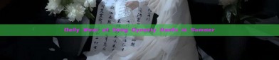 Daily Wear of Song Dynasty Hanfu in Summer