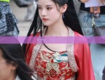 The Evolution of Hanfu Robes and Their罩甲（Zhaojia）Armor:A Cultural Exploration