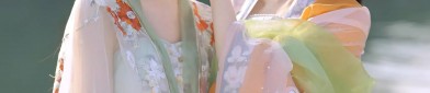 New Year in Traditional Hanfu Costumes:Womens Elegant Hanfu New Year Attire