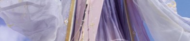 Traditional Chinese Womens Clothing:The Elegance of a Horseface Skirt Ensemble