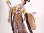 Embracing Elegance:The New高端丝绒 Flag-Bearing Cheongsam Collection