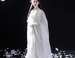 Li Qingzhaos Hanfu Children:A Glimpse into the Cultural Heritage of Traditional Chinese Fashion