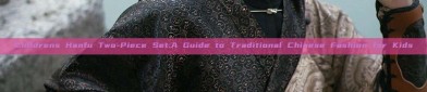 Childrens Hanfu Two-Piece Set:A Guide to Traditional Chinese Fashion for Kids