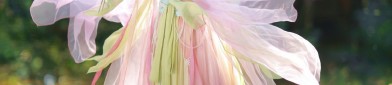Winter 2024 New Girls Traditional Chinese Hanfu Sets