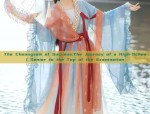 Exploring the Rise of Commuter-Style Light Hanfu Fashion for the Petite Crowd